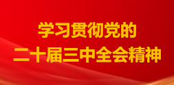 學(xué)習(xí)貫徹黨的二十屆三中全會(huì)精神