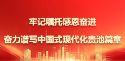 牢記囑托感恩奮進(jìn)奮力譜寫中國(guó)式現(xiàn)代化貴池篇章