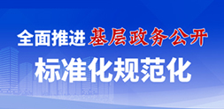 全面推進(jìn)基層政務(wù)公開標(biāo)準(zhǔn)化規(guī)范化